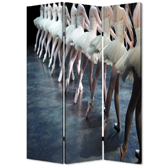 Screen Gems Ballet Screen | Room Divider | Modishstore-2