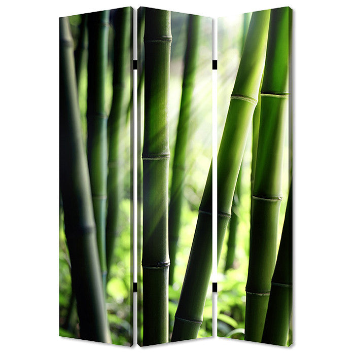 Screen Gems Bamboo Screen - SG-167 | Room Divider | Modishstore-2