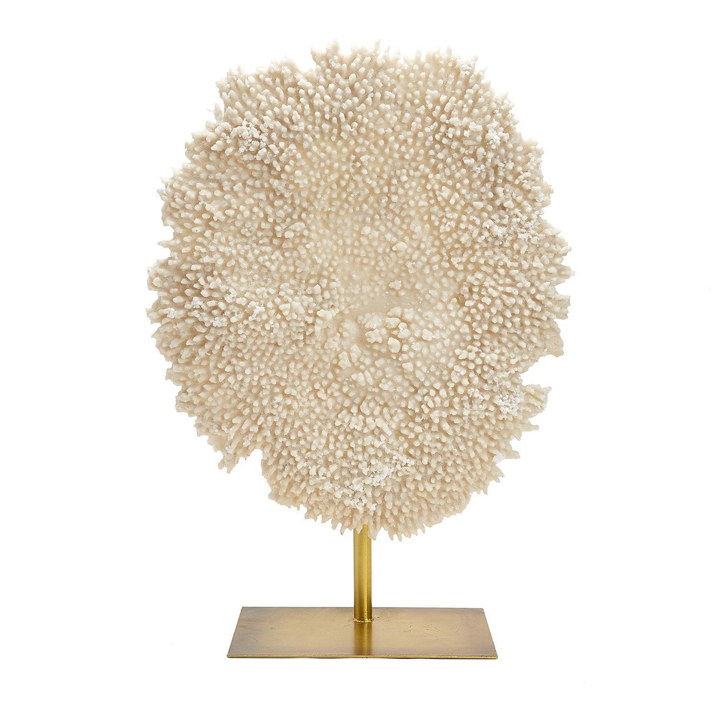 26 1/2" Whte Poly Coral Sculp. Resin/Iron By Tozai Home | Sculptures | Modishstore - 2