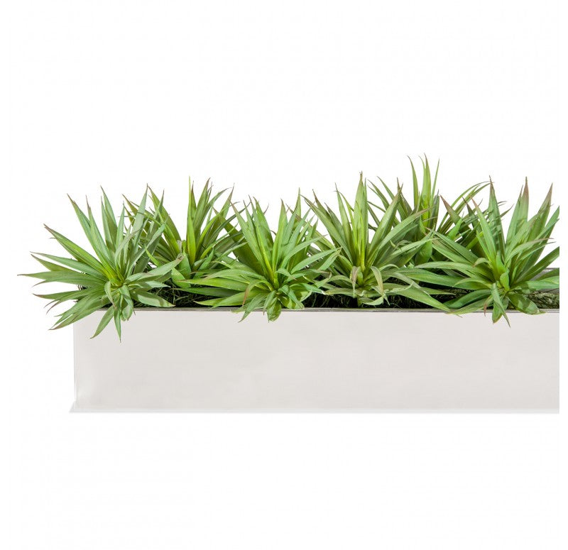 Stainless Steel Table Planter, Mini Yucca by Gold Leaf Design Group | Planters, Troughs & Cachepots | Modishstore - 2