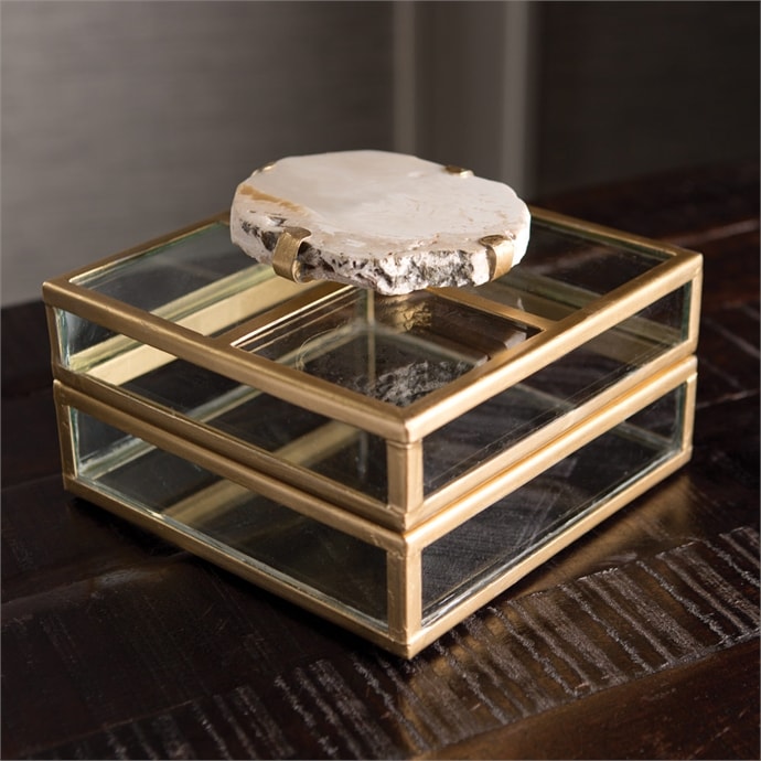 Fossilized Clam Glass Display Box by Napa Home and Garden – Modish Store