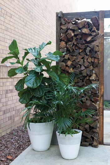 Transform Your Space: A Comprehensive Guide to Accent Decor Planters