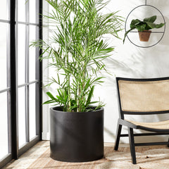 Safavieh Alia Planter