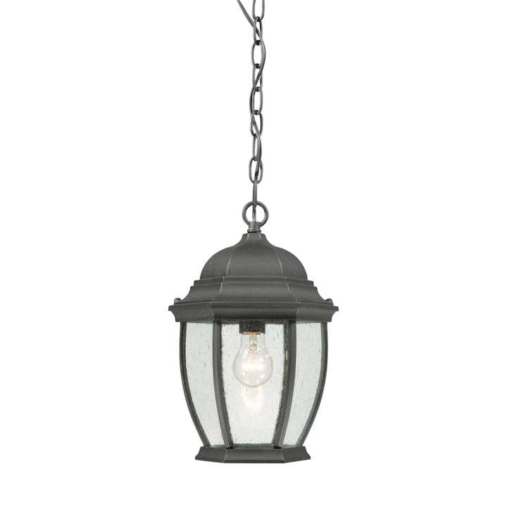 Covington 1-Light Pendant Lantern in Black | Pendant Lamps | Modishstore